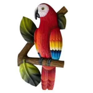 Cedar Red Macaw Bird Measuring